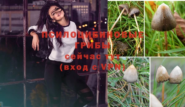 MDMA Premium VHQ Нея