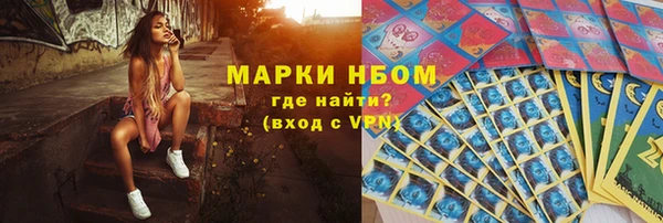 прущие грибы Новодвинск