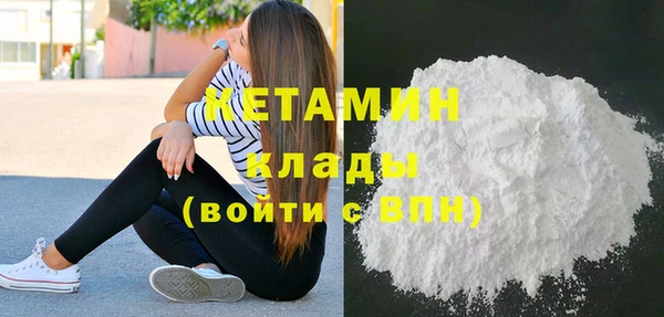 прущие грибы Новодвинск