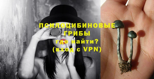 мяу мяу мука Гусиноозёрск