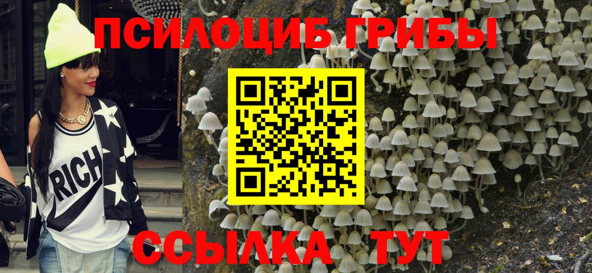 Псилоцибиновые грибы Cubensis  Губкинский 