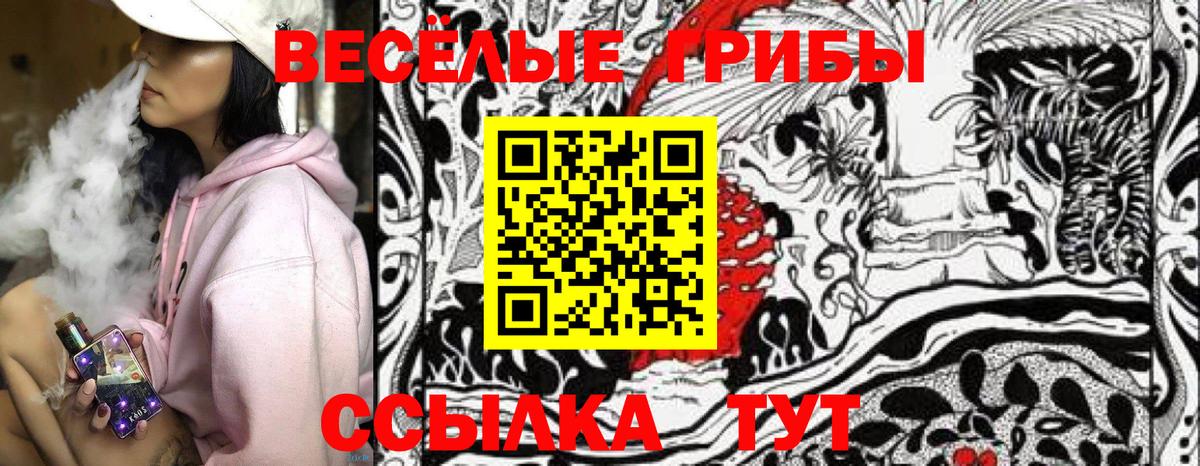 Галлюциногенные грибы Cubensis Губкинский