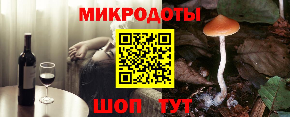 Псилоцибиновые грибы мицелий Губкинский