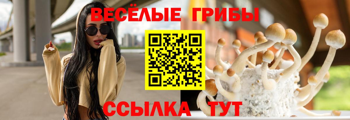 Губкинский  где купить наркотик  Вход с VPN  Псилоцибиновые грибы ЛСД 