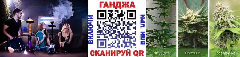 Бошки Шишки марихуана  Губкинский 